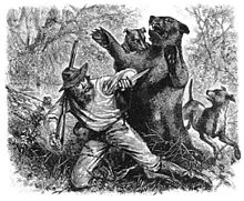 Hugh Glass being attacked by a grizzly bear in 1823, from an early newspaper illustration dated June 3, 1823